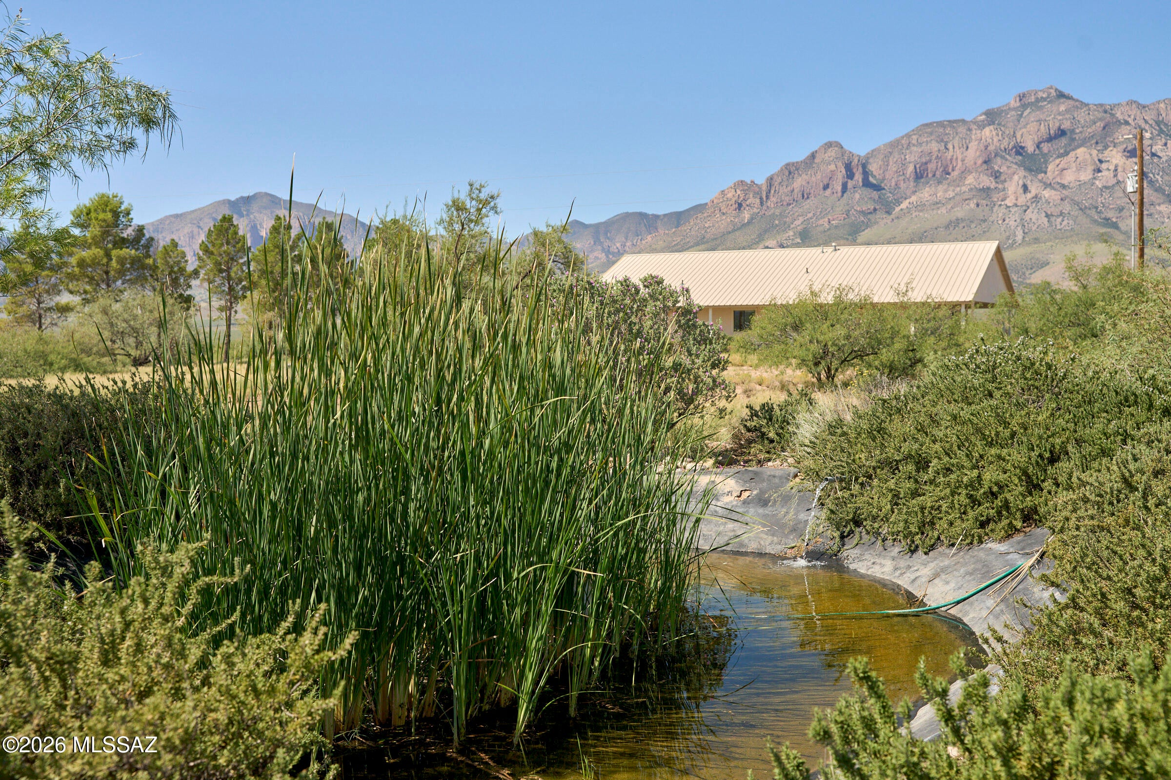 Meet Rancho Bubo, 38.58 acres,  360° views of the surrounding mountains and San Simon Valley! Main home - 1,692 sq. ft. 3BR/2BA home, workshop, storage shed and approx. 20'x20' fish pond. The home offers generously sized rooms, custom cabinetry, Corian kitchen counters, marble bath counters, heat pump, extra insulation, walk-in primary closet and a large unfinished attic with approx. 9.5' height. Enjoy a wraparound porch, trees and established pines. Private well, rolling security shutters and security doors complete this distinctive rural property. Central Air, Standing Seam Metal Roof, fenced property. RU-4 zoning, dividable lot. Turnkey- furnishings negotiable in sale.