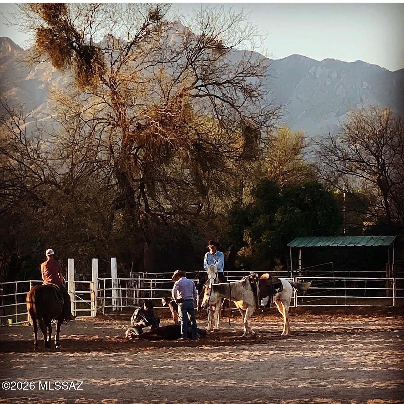 Historic La Rienda Stables -- Tucson Equestrian Estate

Step into a piece of Arizona history at this remarkable, nearly 13-acre equestrian property within Tucson city limits, in an area steeped in the legacy of Tucson's old guest ranch era. Anchored by a beautifully preserved 1899 adobe home, a rare survivor of the territory's heritage, updated in 2005 retaining its authentic charm, the estate also includes a guest house refurbished in 2013 with a classic interior that never goes out of style, two apartments, and a large pool, offering exceptional flexibility for multi-generational living, guests, or staff. All residences carry classic Mexican charm with authentic tilework, thoughtfully maintained and requiring very few updates, a true window into old Tucson. Built for serious horsemen and women, the property can accommodate up to 64 stalls across two barns, each equipped with wash racks and tack rooms, along with two mare motels, two riding arenas (including a dedicated roping arena), a round pen, and generous turnout areas. Two private grandfathered wells (one in use) provide reliable water for the entire operation. Direct access to the Tanque Verde Wash adds miles of trail riding and guest ride opportunities right from your own backyard.

Whether you're running a boarding operation, training program, or simply want room for a large herd, the infrastructure is already in place. Rare for a property this size within the city, La Rienda Stables offers a true blend of historic charm and functional, large scale equestrian facilities, a legacy property within easy reach of everything Tucson has to offer.