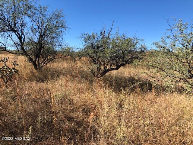 Rio Rico Estates 13 - Land