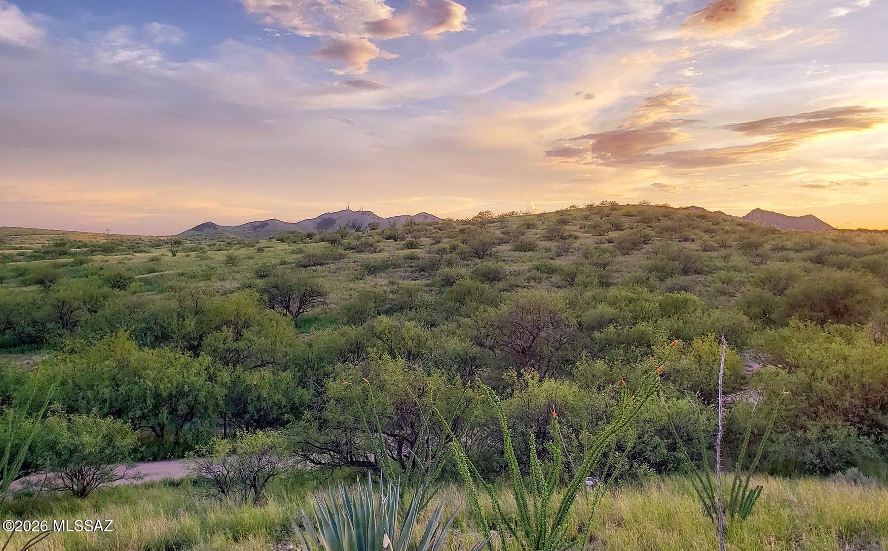 Recent price drop on this 18.34-acre hilltop parcel in Dragoon, which offers panoramic views of Texas Canyon and the Dragoon Mountains from a secluded setting with remarkable scenery. Its western boundary borders the 770-acre Amerind Foundation property, helping preserve unobstructed western views. The varied terrain includes rolling hills, mature trees, a seasonal wash, and diverse high desert vegetation & wildlife. The property is partially fenced and zoned RU-4, allowing site-built, manufactured, & modular homes while qualifying for the Cochise County owner-builder opt-out exemption. Dragoon Water Co. utility service is available, with power approximately 1/4 mile away. Tucked away just off paved Dragoon Road, it's only seven minutes to I-10. Act now to secure this special location!