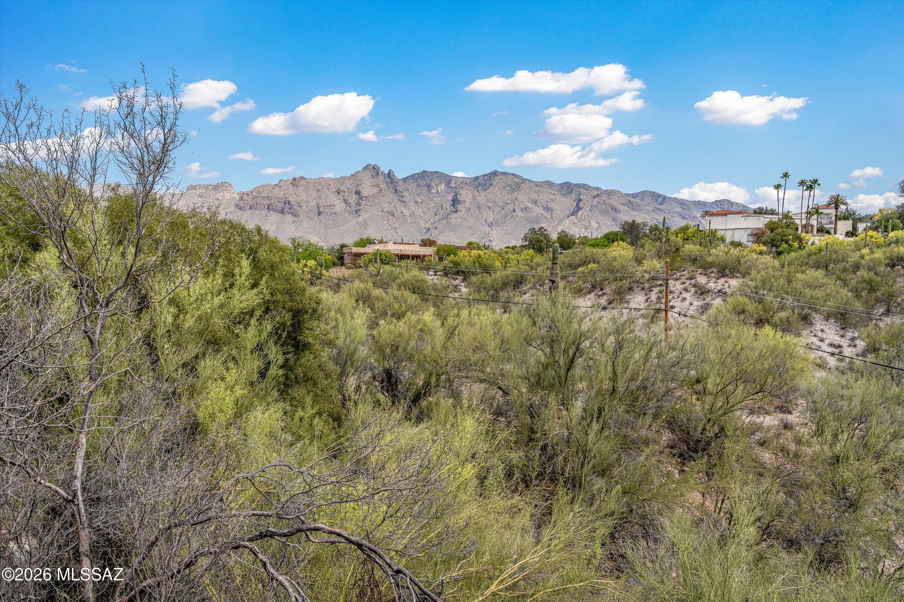 Catalina Foothills Estates NO. 7 (44-120) - Residential